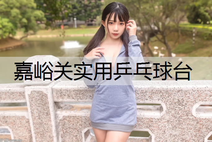 嘉峪关实用乒乓球台