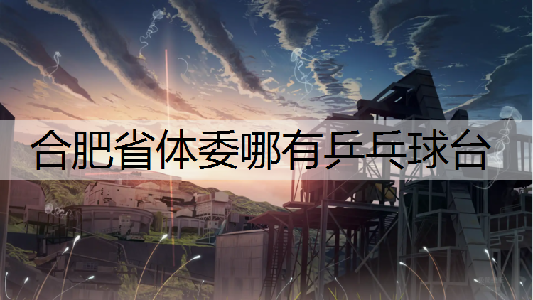 合肥省体委哪有乒乓球台