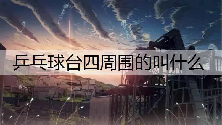 乒乓球台四周围的叫什么