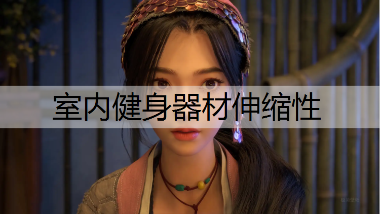 室内健身器材伸缩性