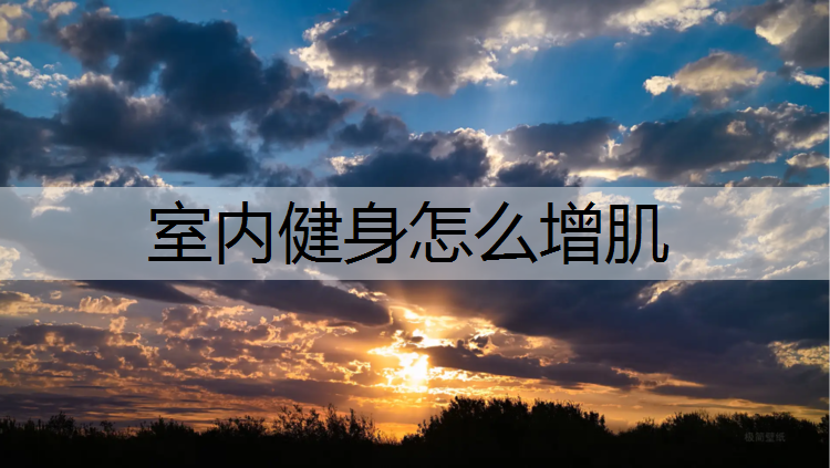 室内健身怎么增肌