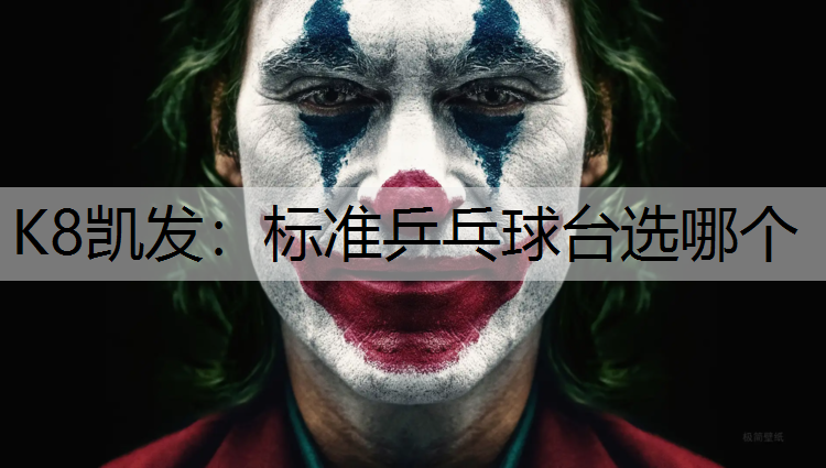 K8凯发：标准乒乓球台选哪个