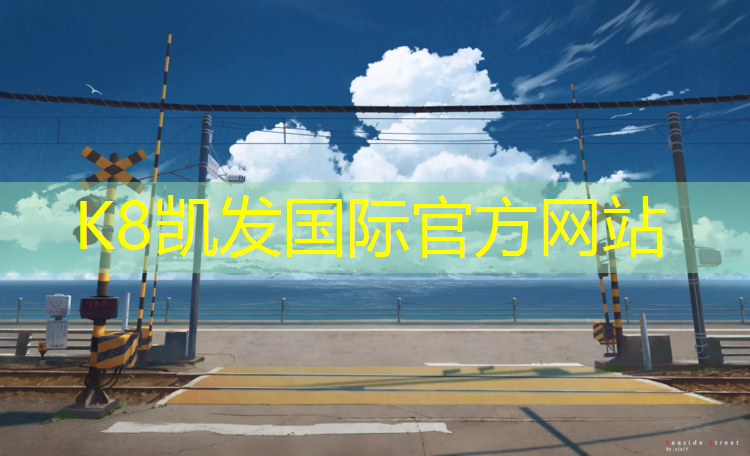 K8凯发：排球网网球网