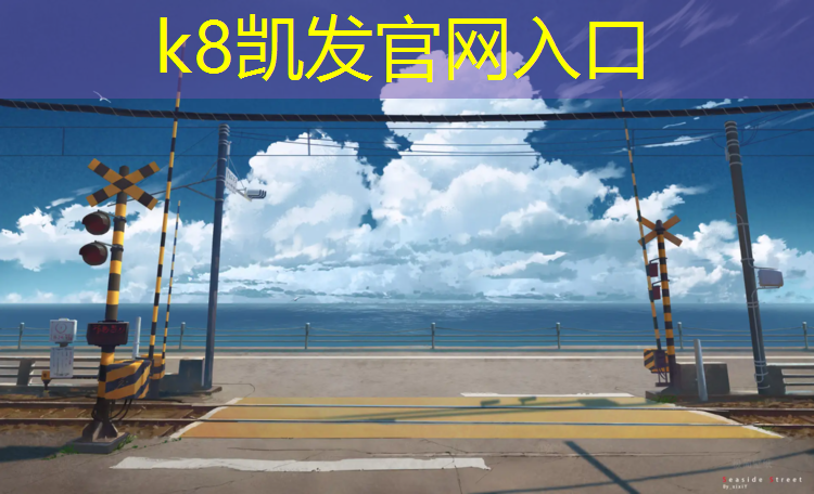 k8凯发官网入口：新网球网子五维