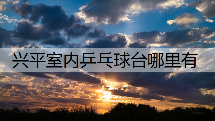 兴平室内乒乓球台哪里有