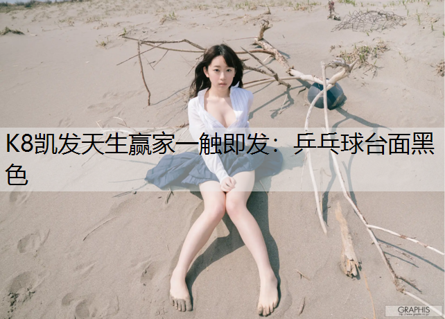 乒乓球台面黑色