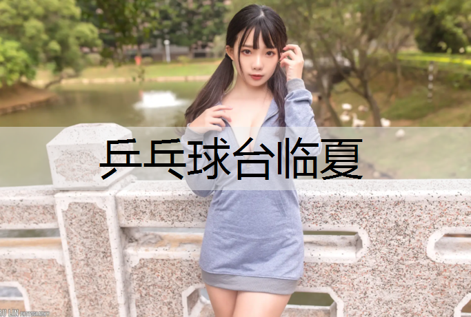 乒乓球台临夏