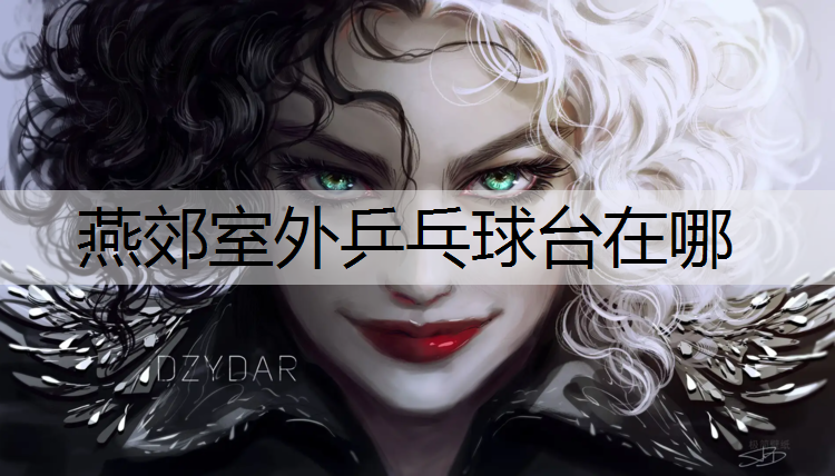 燕郊室外乒乓球台在哪